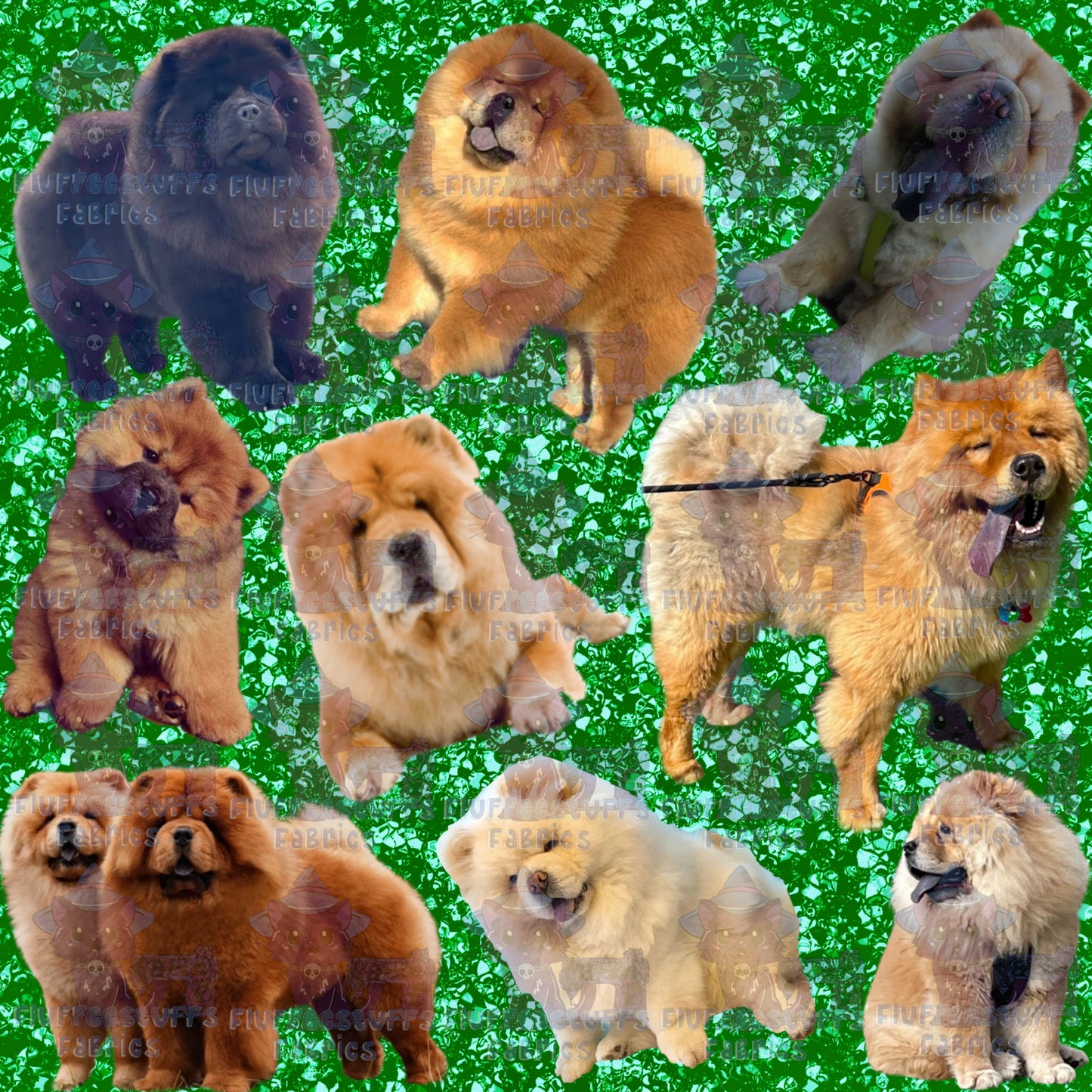Fluffee Pets Chow Chow