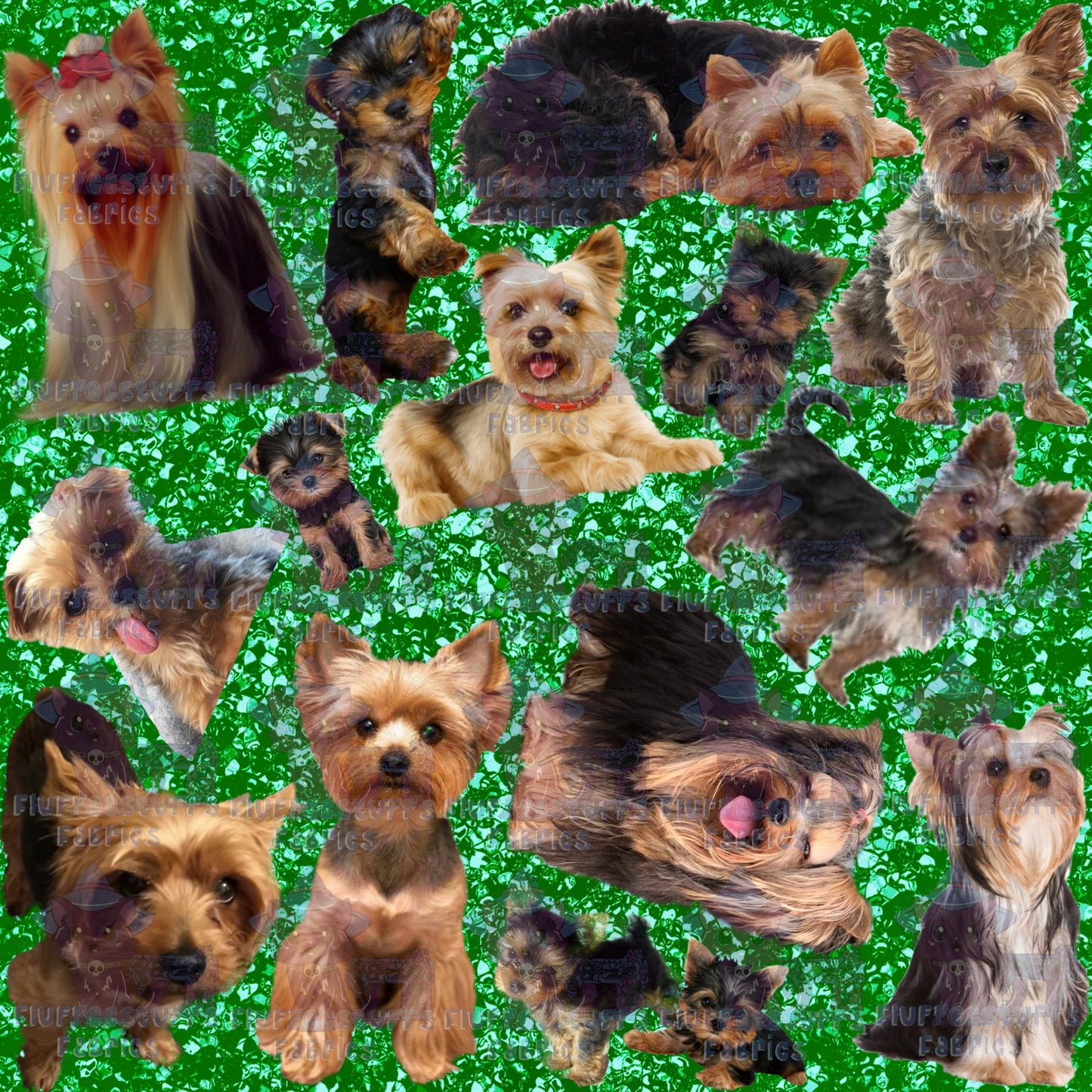 Fluffee Pets Yorkie