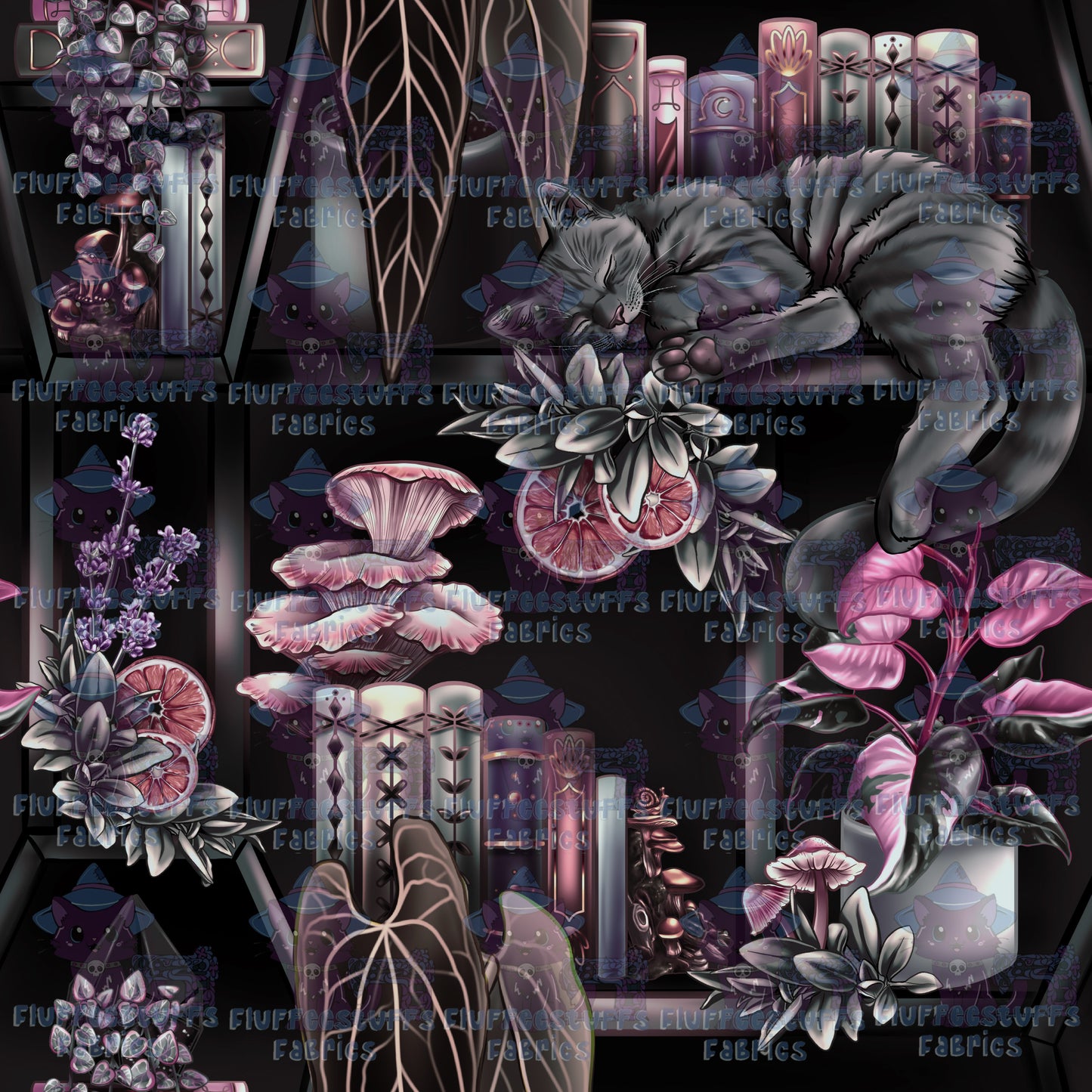 Library Shelves Black Kitty