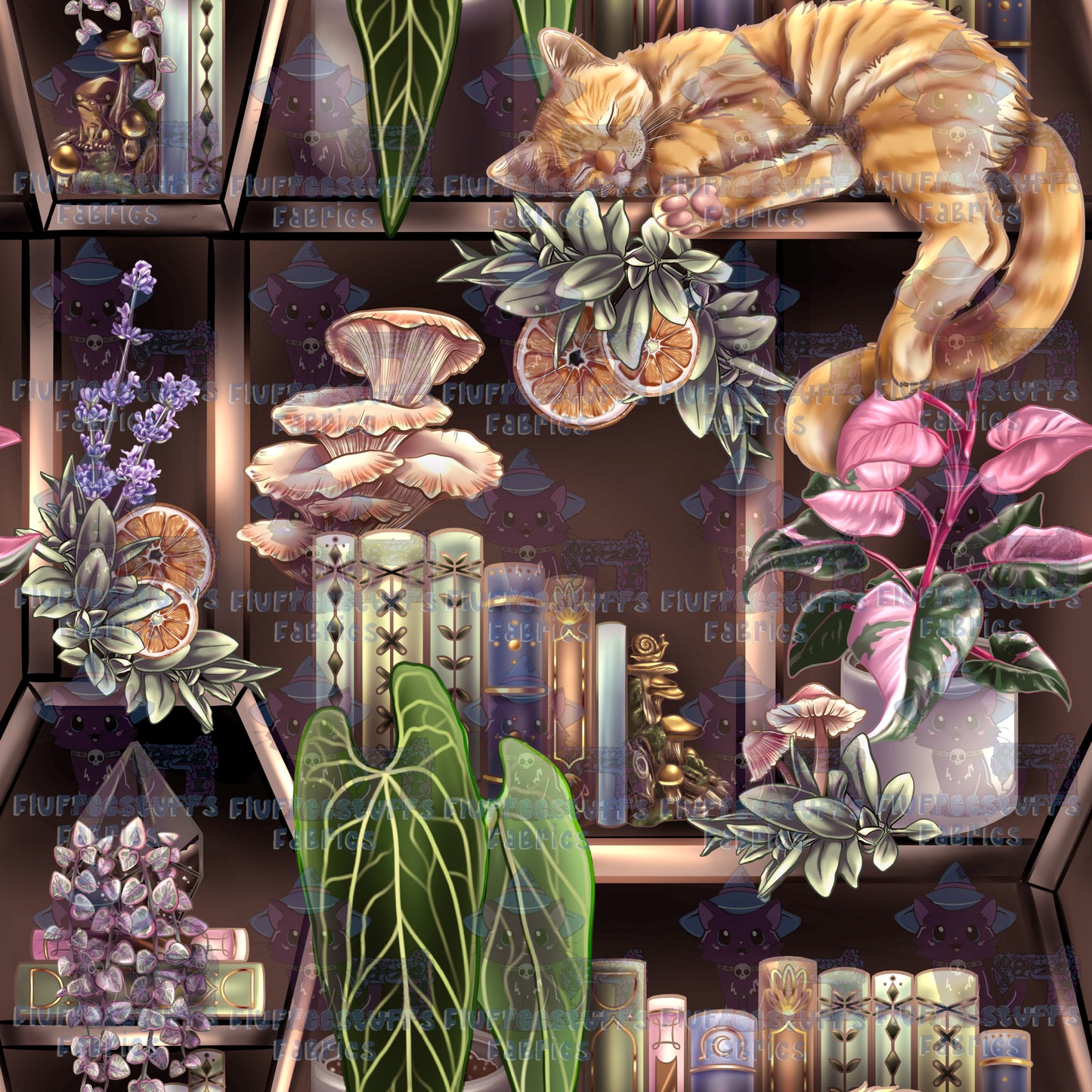 Library Shelves Orange Kitty