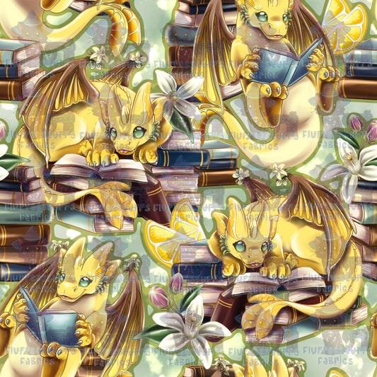 Citrus Chapter One Dragons