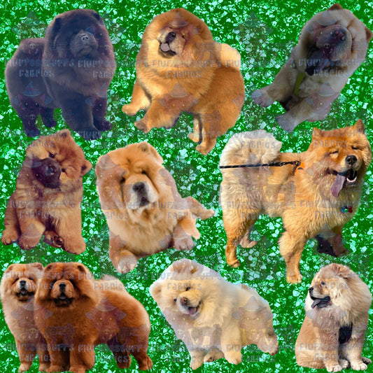 Fluffee Pets Chow Chow