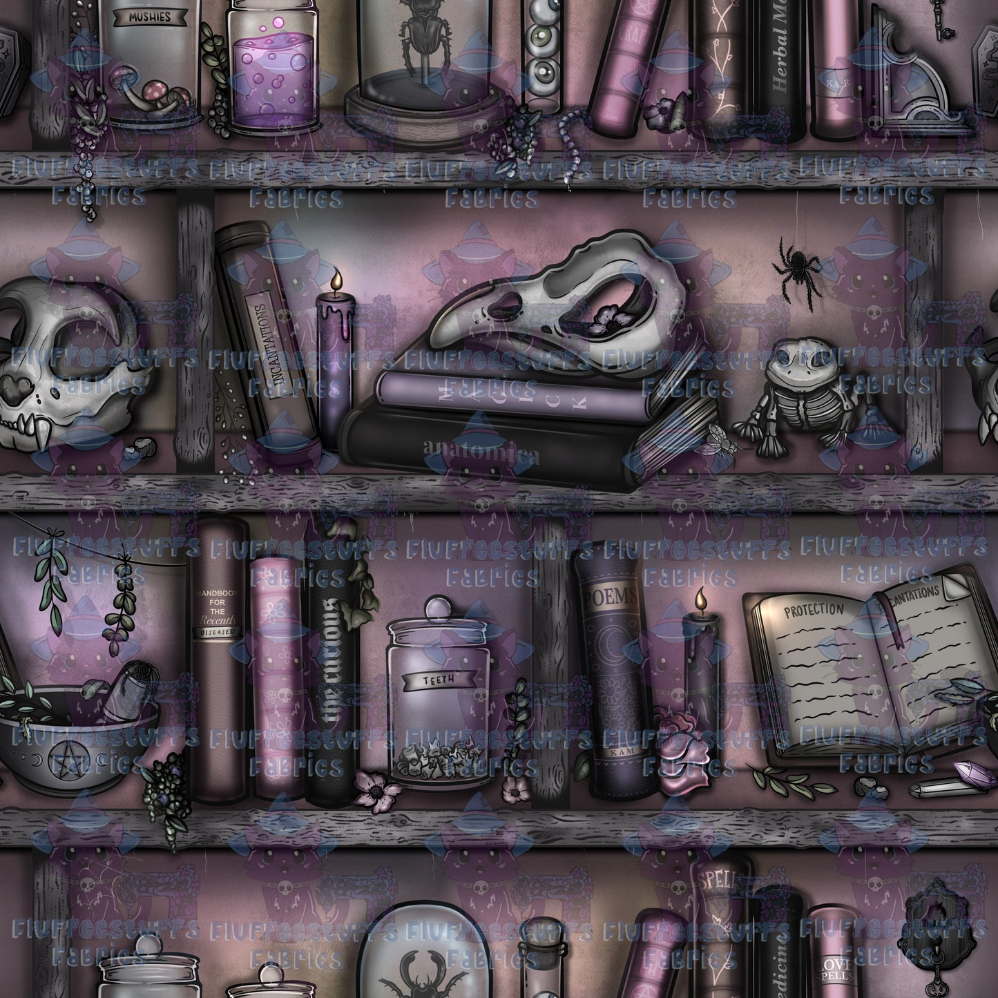 Library Shelves Witches Stash Dawn