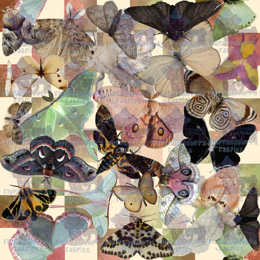 Many a Moth Stack_