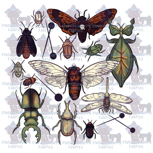Panel Beetles on Board