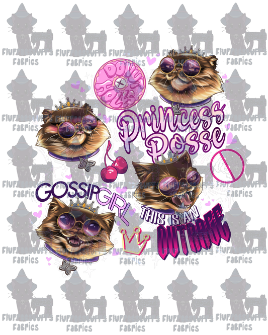 Panel DCC Princess Posse