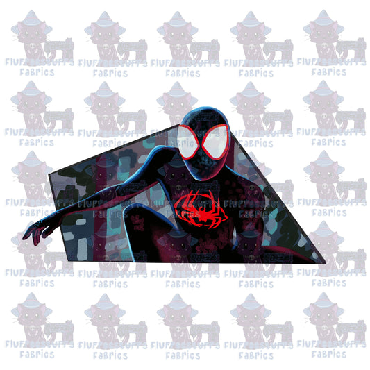 Panel Spider Verse C