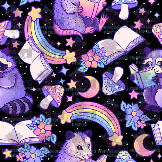 Raccoon Reader A