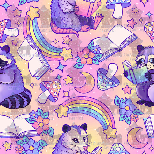 Raccoon Reader B