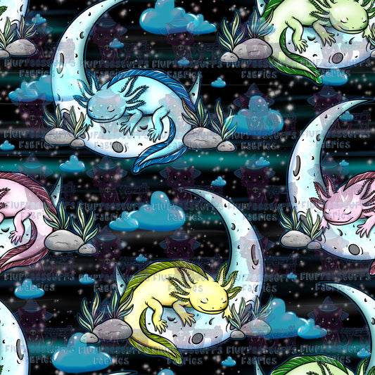 Sleepy Moon Axolotl