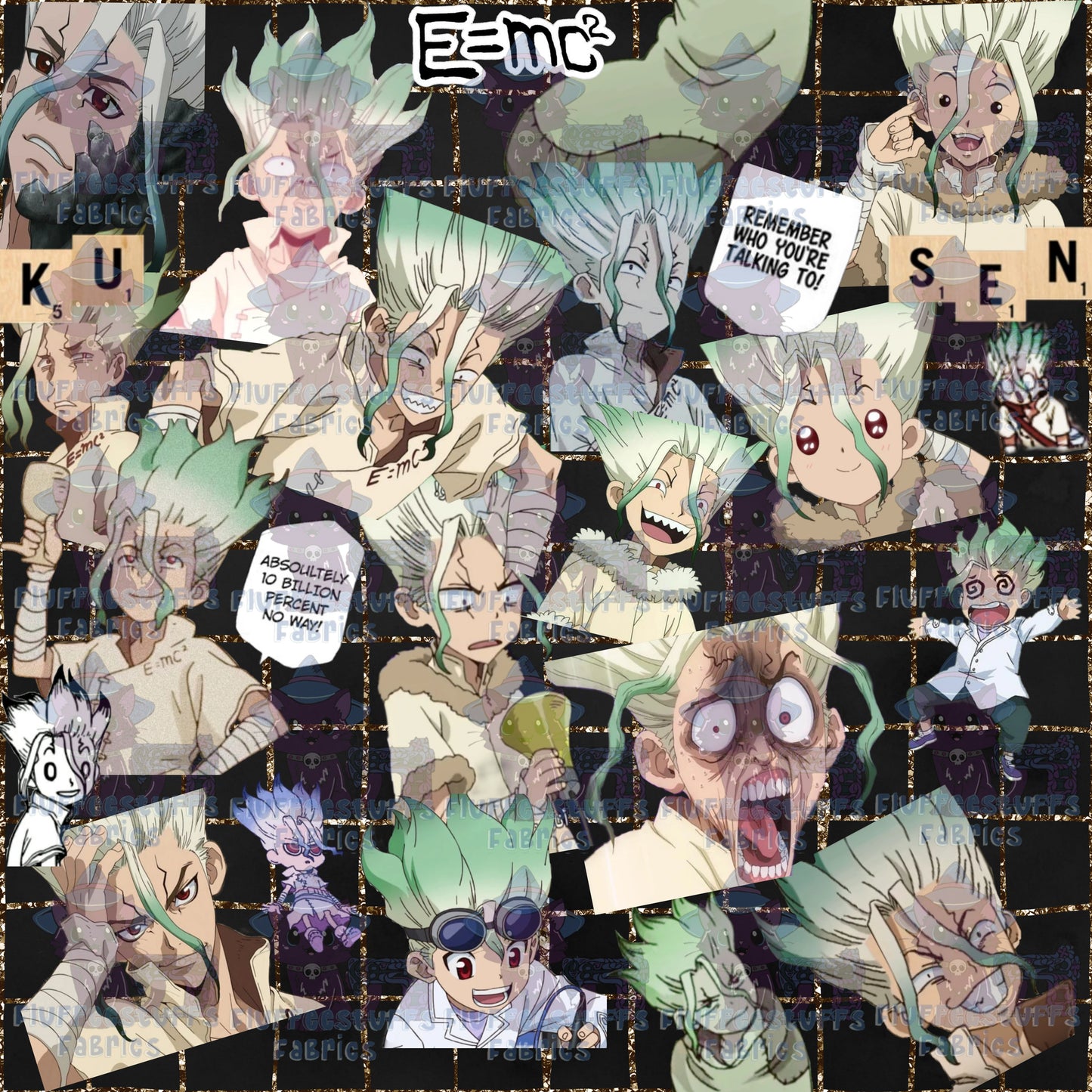 Stone Dr Show Face of Senku