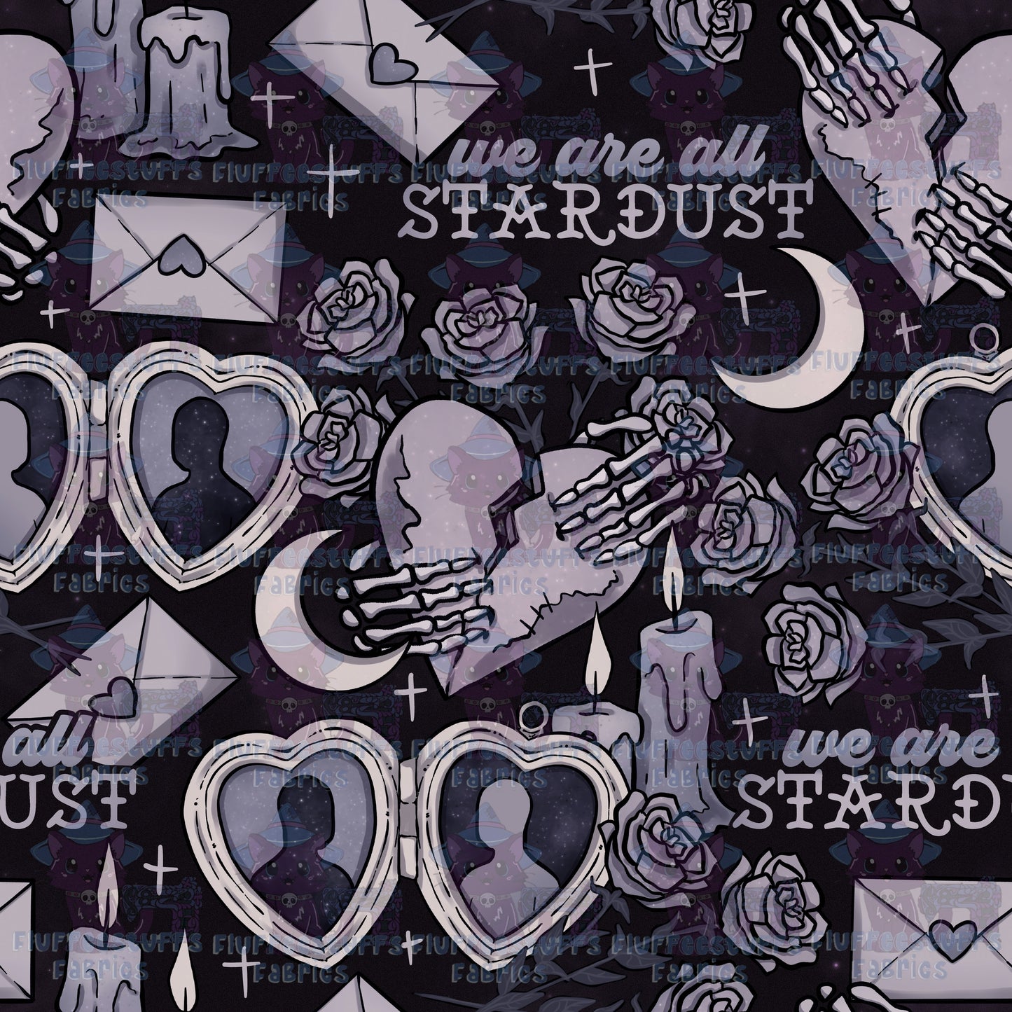 We are Stardust C