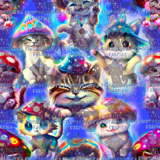 uWu Kittys (blue background)